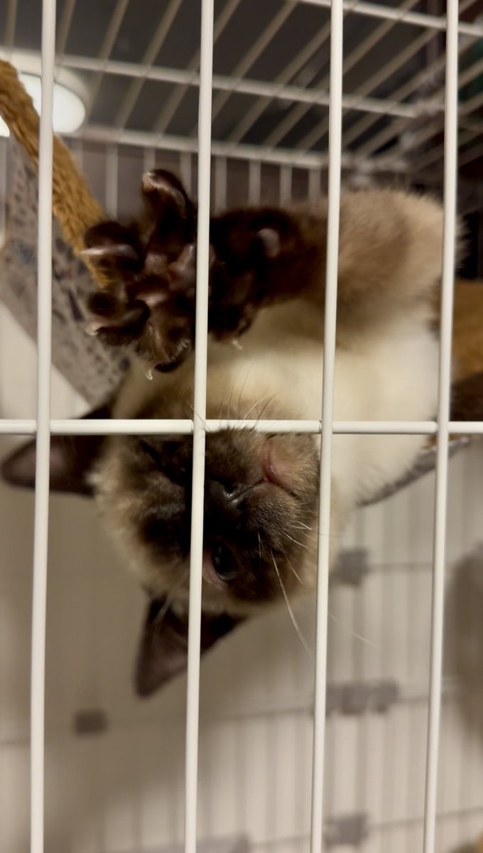 わたしもおはよ〜♪
あと3日間お薬を飲みきれば、お兄ちゃんやお姉ちゃんに会って良いって先生が言っていたよ〜🙌