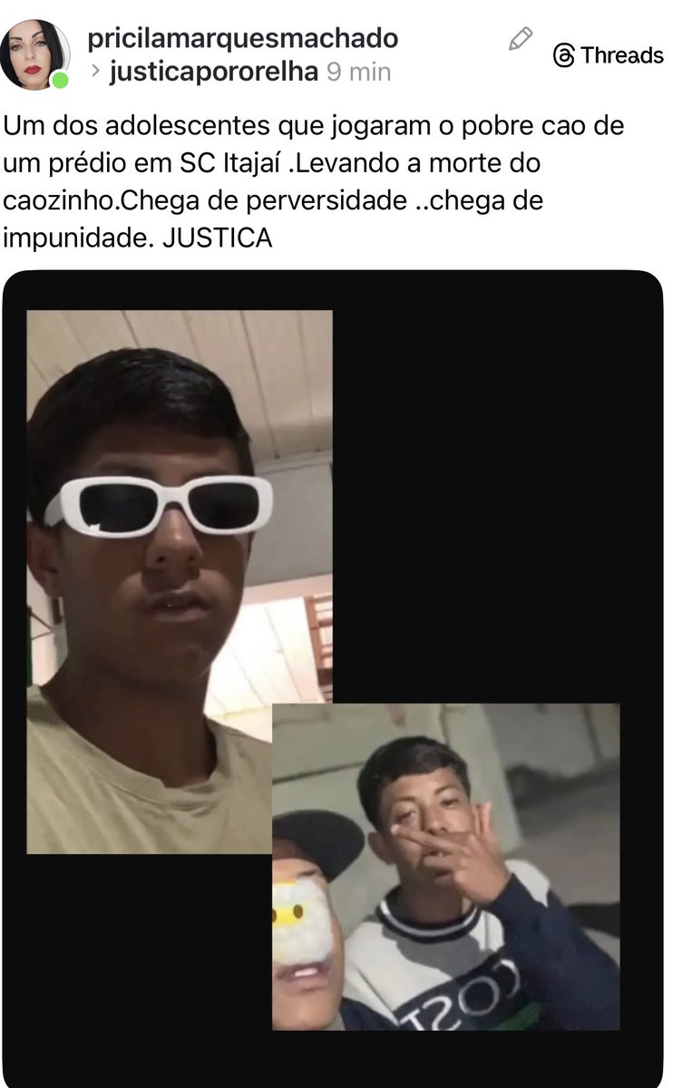One of the men who threw the poor dog from a building in Itajaí, SC, causing the dog's death. 
#StopAnimalCruelty
#BRAZILFORORELHA and all animals.