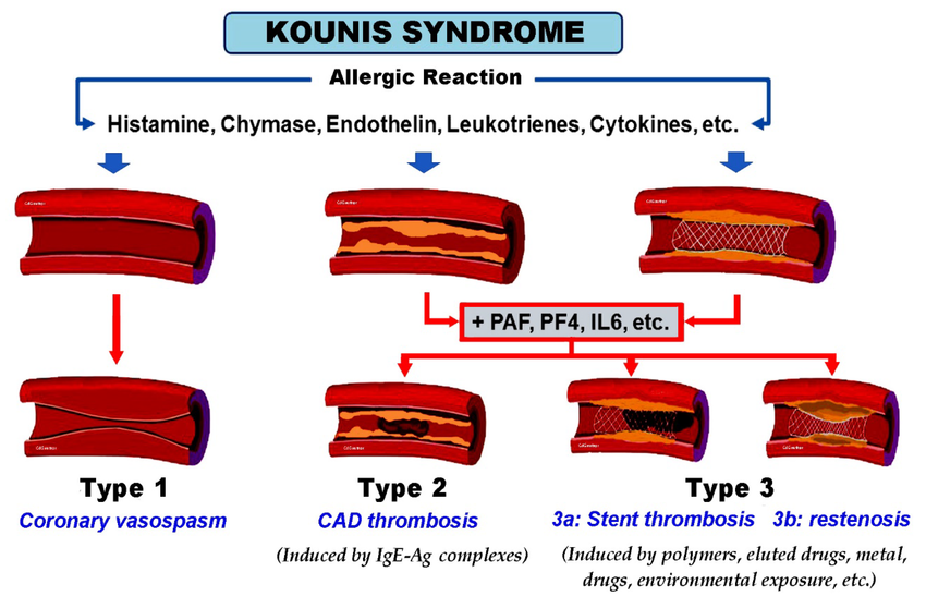 Ritika Tuli tweet media