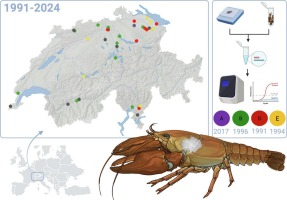 The Journal of Invertebrate Pathology (JIP) tweet media