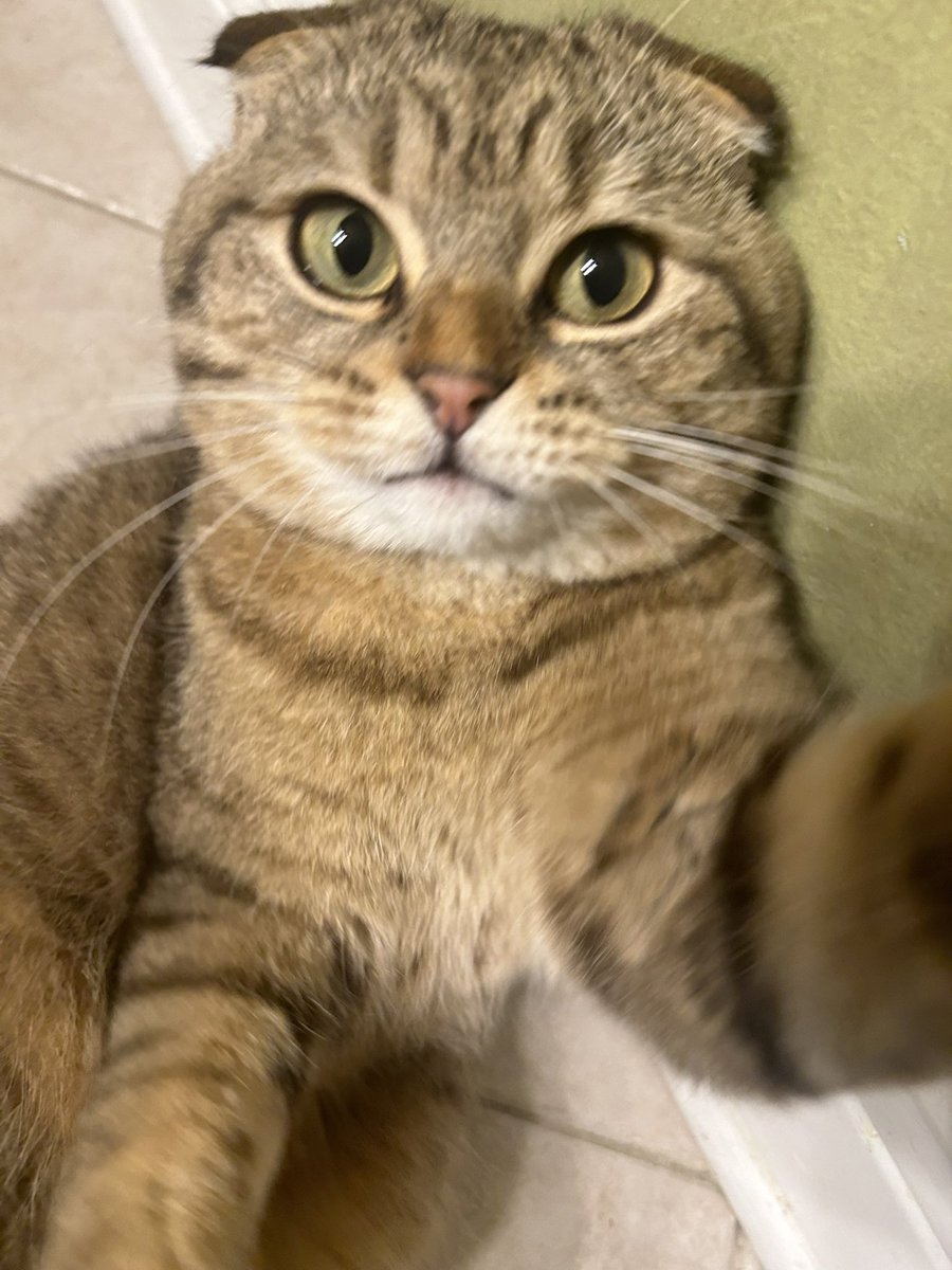 change (@changefomo) on Twitter photo 