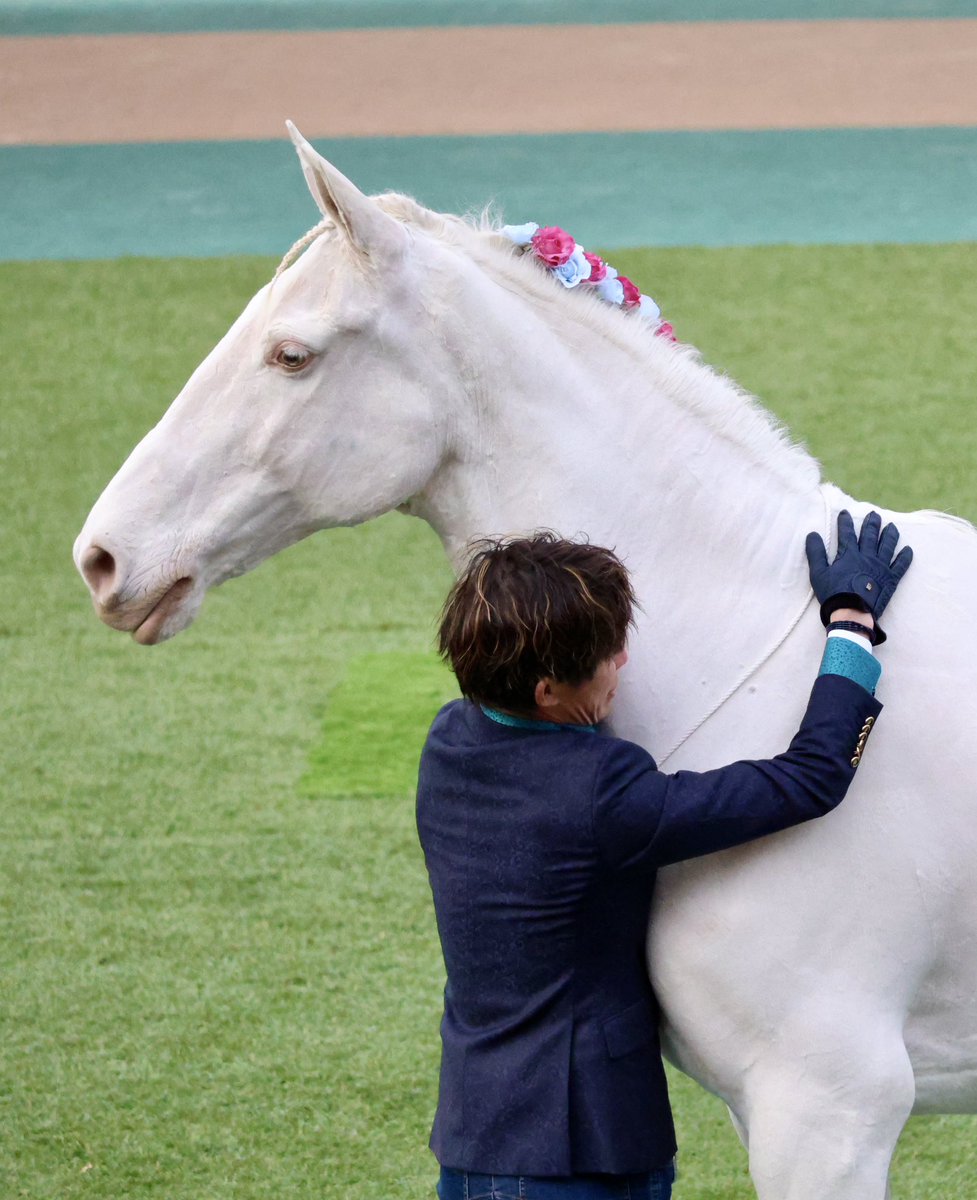 oreocherrytarte's tweet image. ひとつ演技をこなすたびに柳瀬さんから激アツ激甘な褒め褒めナデナデ🫣💕
#フリーダムホースショー
#HappyValentinesDay 
#東京競馬場