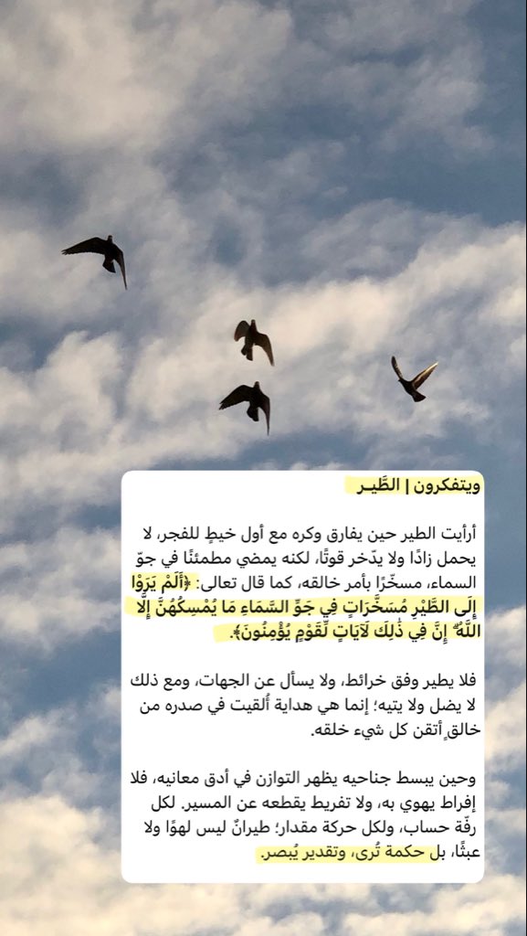 wdhady83's tweet photo. #سقيا_العام6 https://t.co/66KCegLIuS