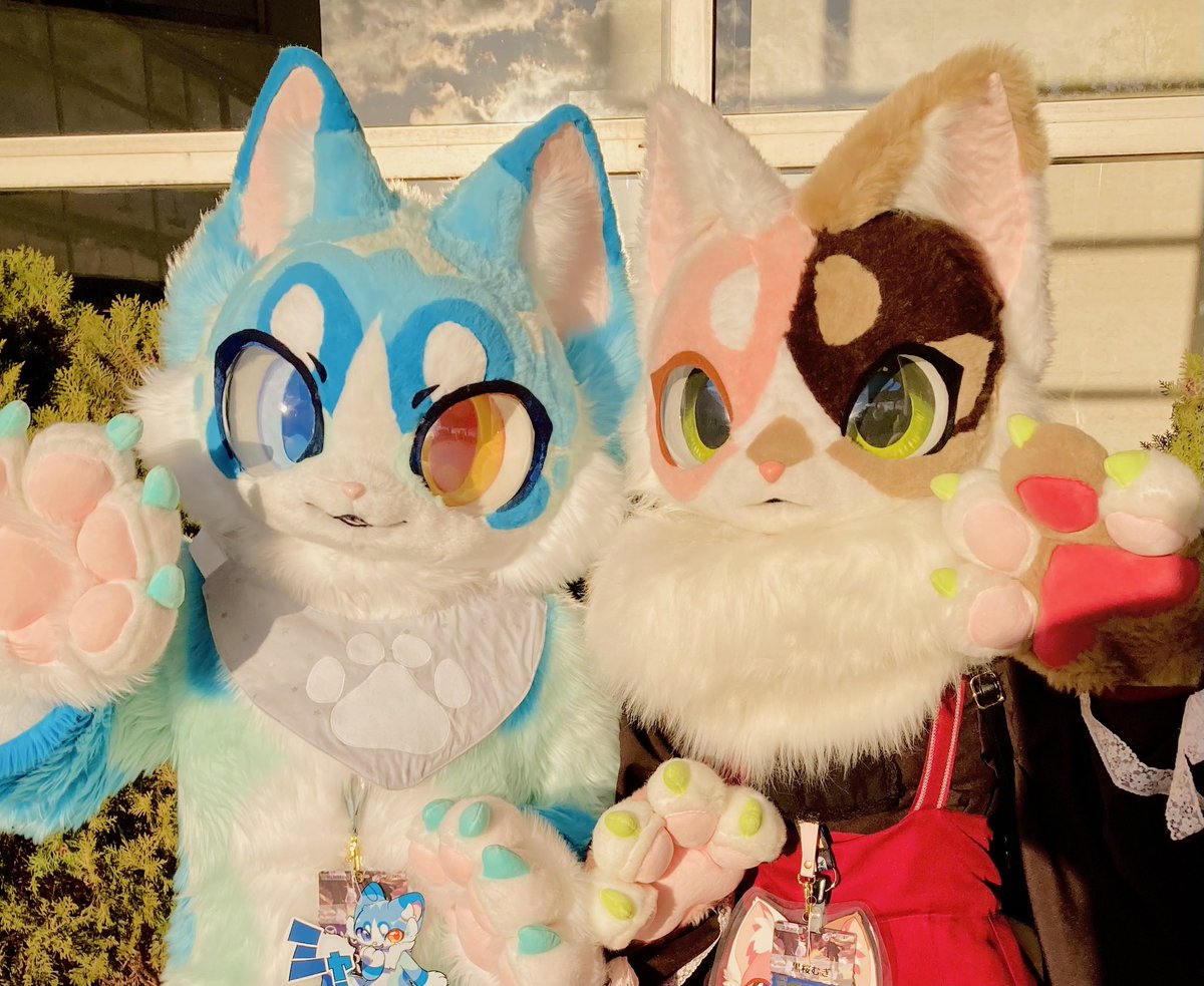 竹千代Takechiyo🌞 (@Phyllosta_tiyo) / Posts / X