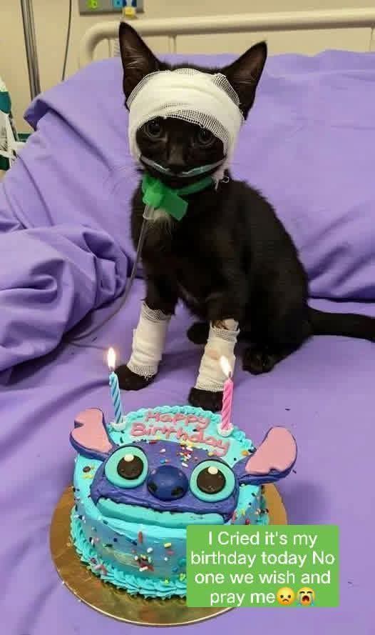 Arthur Collins tweet media