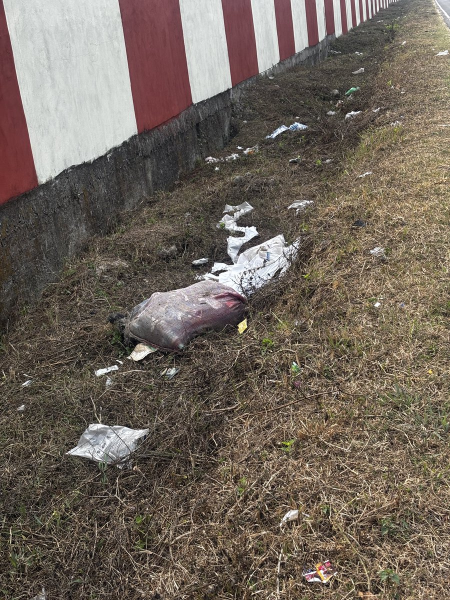 GoaMurghi's tweet photo. Airport Road, Dibrugarh = garbage dump.
Birds flocking (flight risk), cows eating plastic, foul smell, health hazard.
Please act immediately. This is dangerous &amp; embarrassing. #CleanCity @AAI_Official @dmc_dibrugarh @AAI_Official https://t.co/SjCB6IRVg3