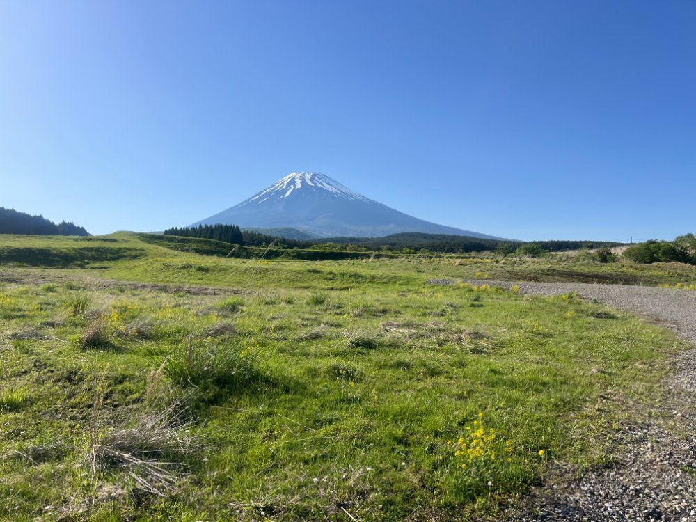 コスナビ tweet media