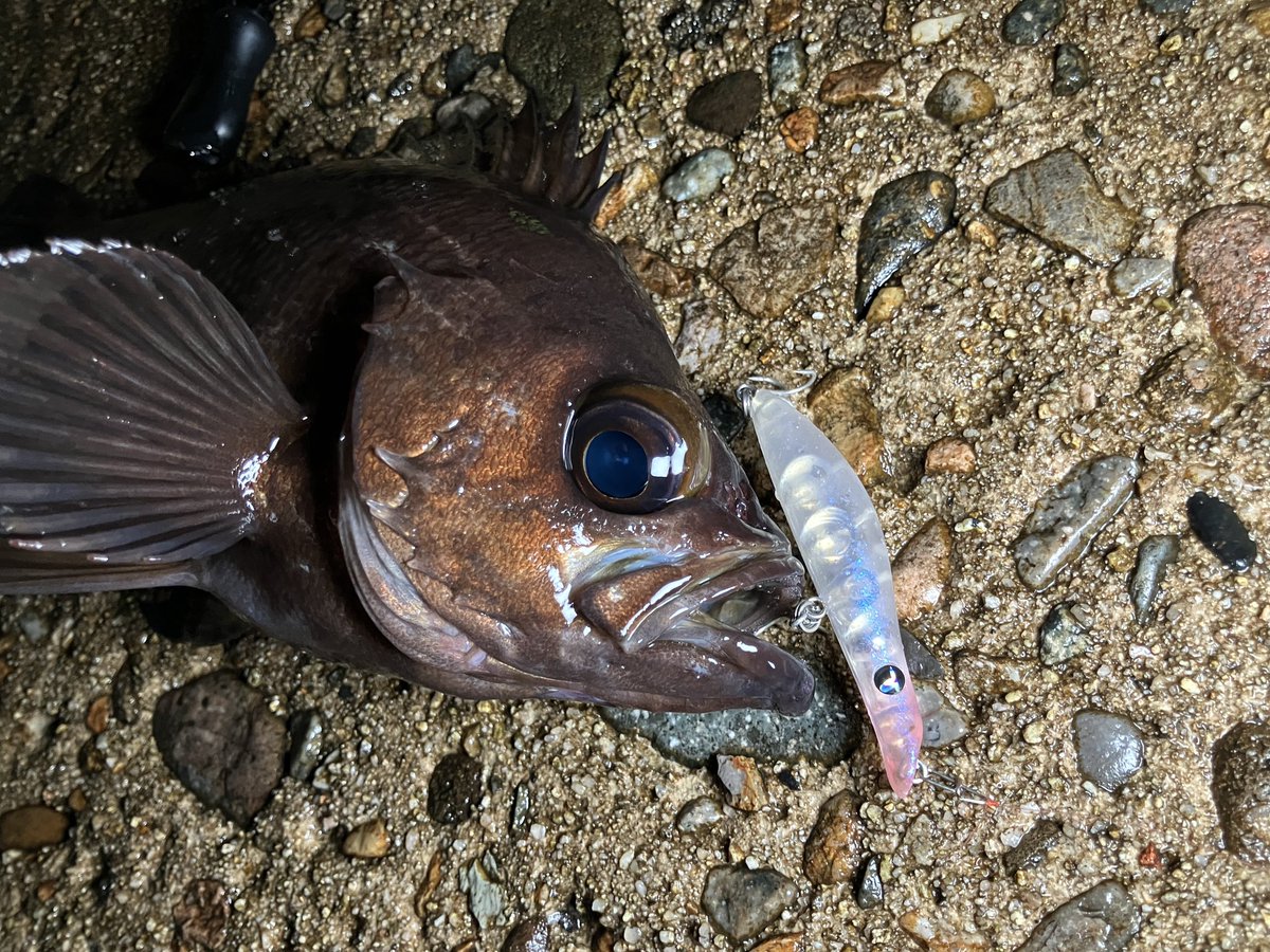 TICT(ティクト) tweet media