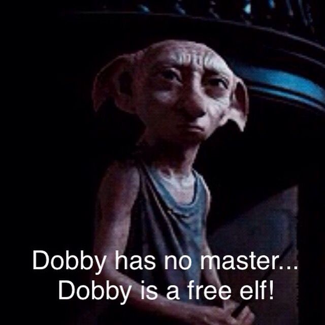 One sock. One trick.
And Dobby was finally free. ❤️