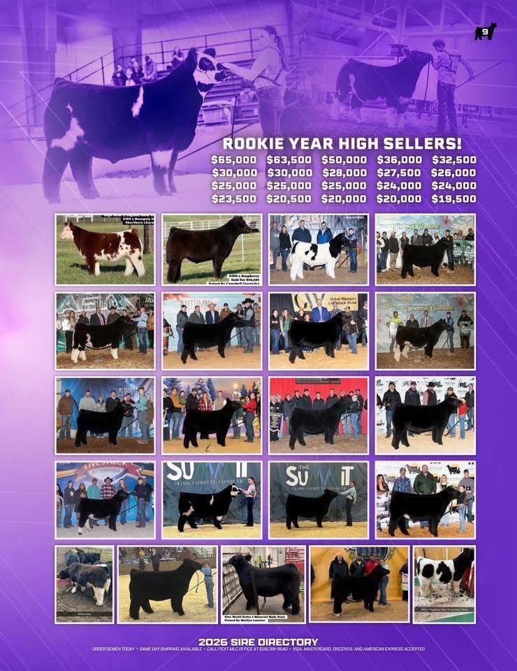 mattlautner's tweet image. #Sunday 

New World Order Back In Stock At Cattle Visions 

Link: 
cattlevisions.com/new-world-orde…

#MLCSires #ESSBulls #NWO
