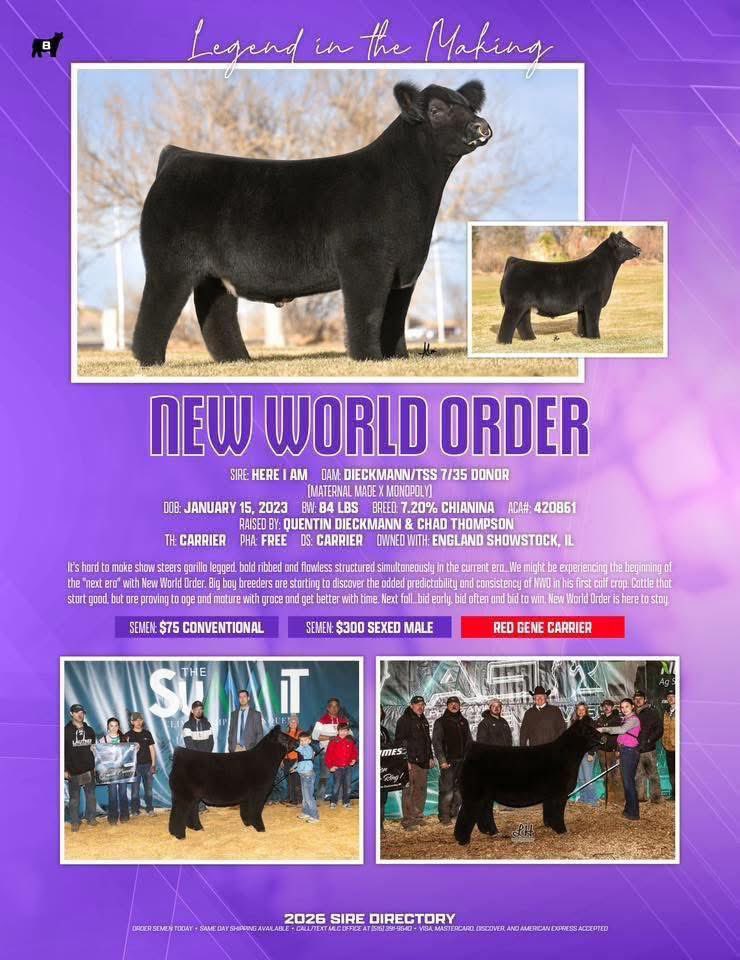 mattlautner's tweet image. #Sunday 

New World Order Back In Stock At Cattle Visions 

Link: 
cattlevisions.com/new-world-orde…

#MLCSires #ESSBulls #NWO