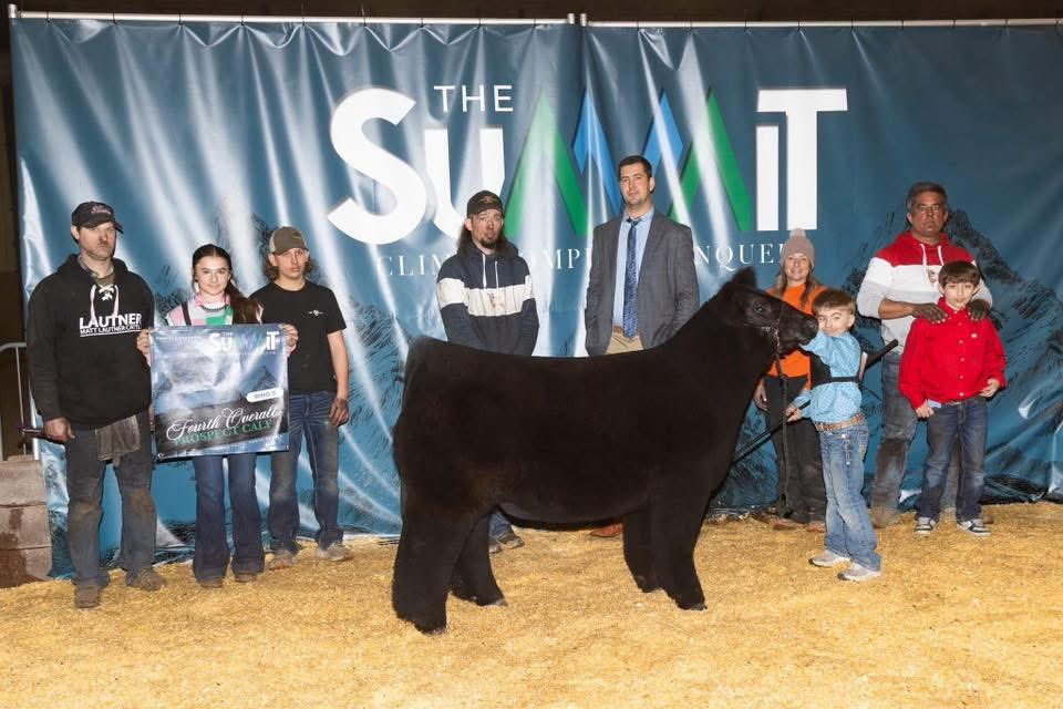 mattlautner's tweet image. #Sunday 

New World Order Back In Stock At Cattle Visions 

Link: 
cattlevisions.com/new-world-orde…

#MLCSires #ESSBulls #NWO