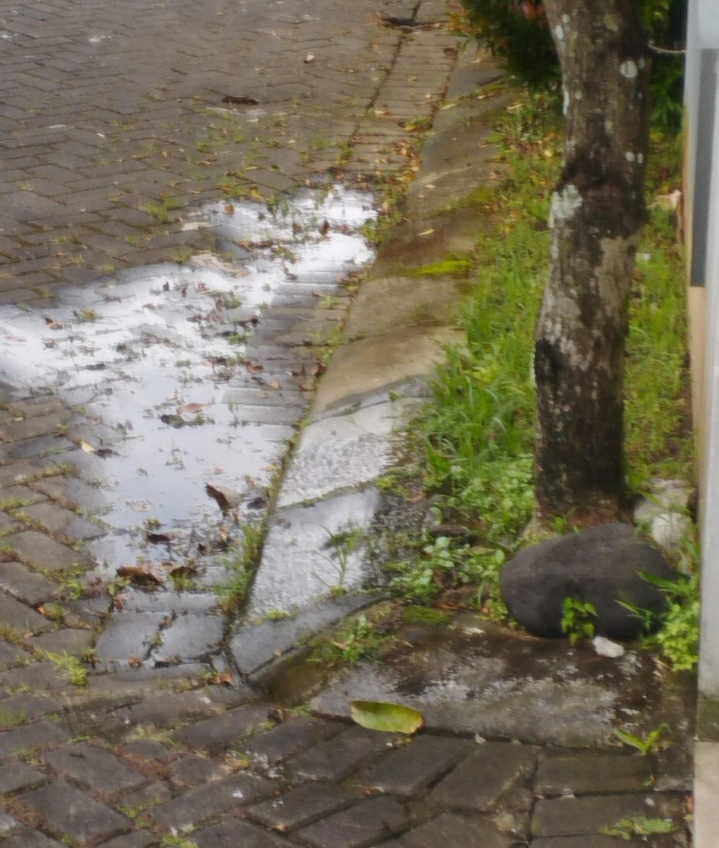 Mohon bantu perbaikan segera <a href="/laporwalikotmgl/">Monggo Lapor</a>
<a href="/Walikota_Mgl/">Walikota Magelang</a>
<a href="/HmsKotaMagelang/">HumasKotaMagelang</a>
<a href="/LaporGub_/">LaporGub!</a>
<a href="/PDAMKabMagelang/">PERUMDA AIR MINUM TIRTA GEMILANG KAB. MAGELANG</a>
utk paving jalan yg rusak ambles &amp; berlumut krn bocor saluran pipa air #pdam kab #magelang yg sdh ganggu kenyamanan &amp; keamanan warga sekitar &amp; pengguna kendaraan di jalan