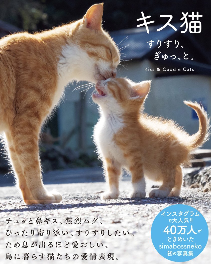 RT @simabossneko: 〜お知らせ〜 📺 毎週土曜日放送の サクサクヒム