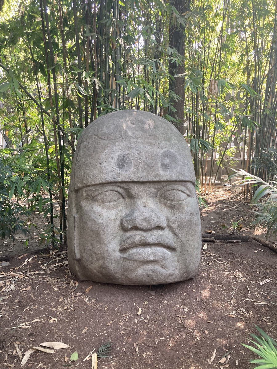 Javier Ibacache tweet media