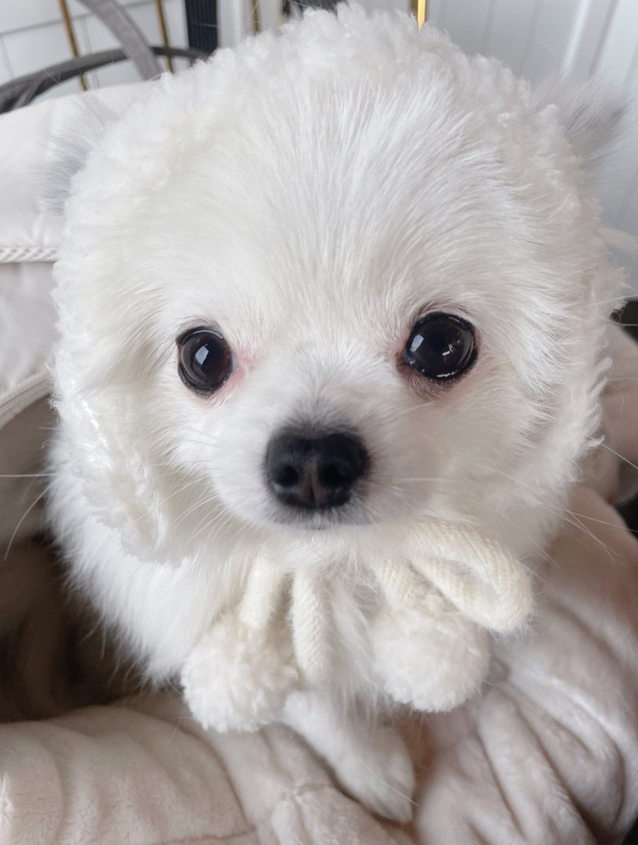 모자 샀는데 어때여?