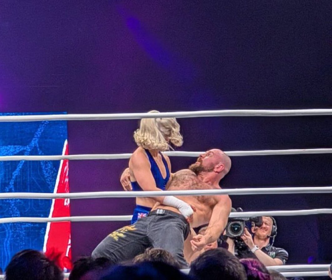 this looks like a renaissance painting