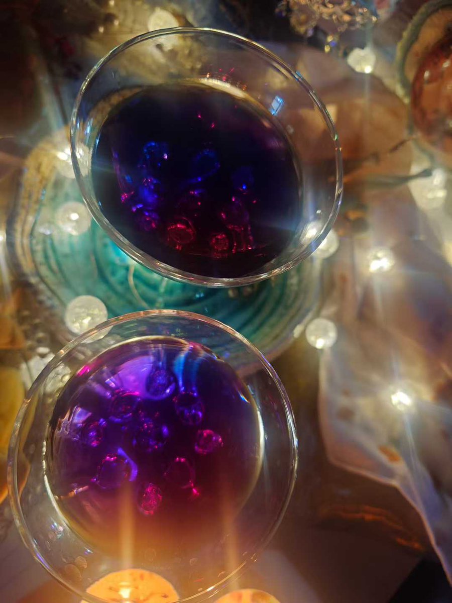 大角的铲屎官 tweet media