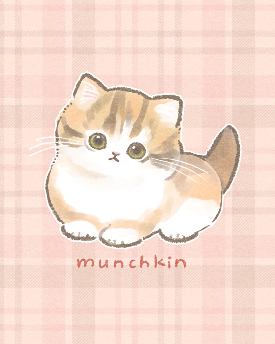 もふもふ練習帳 ／ 今日はマンチカンの赤ちゃんを描いてみました