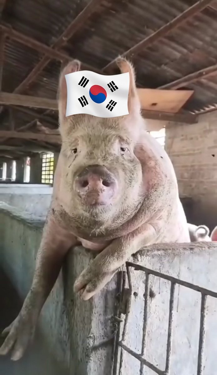 404cookie tweet media