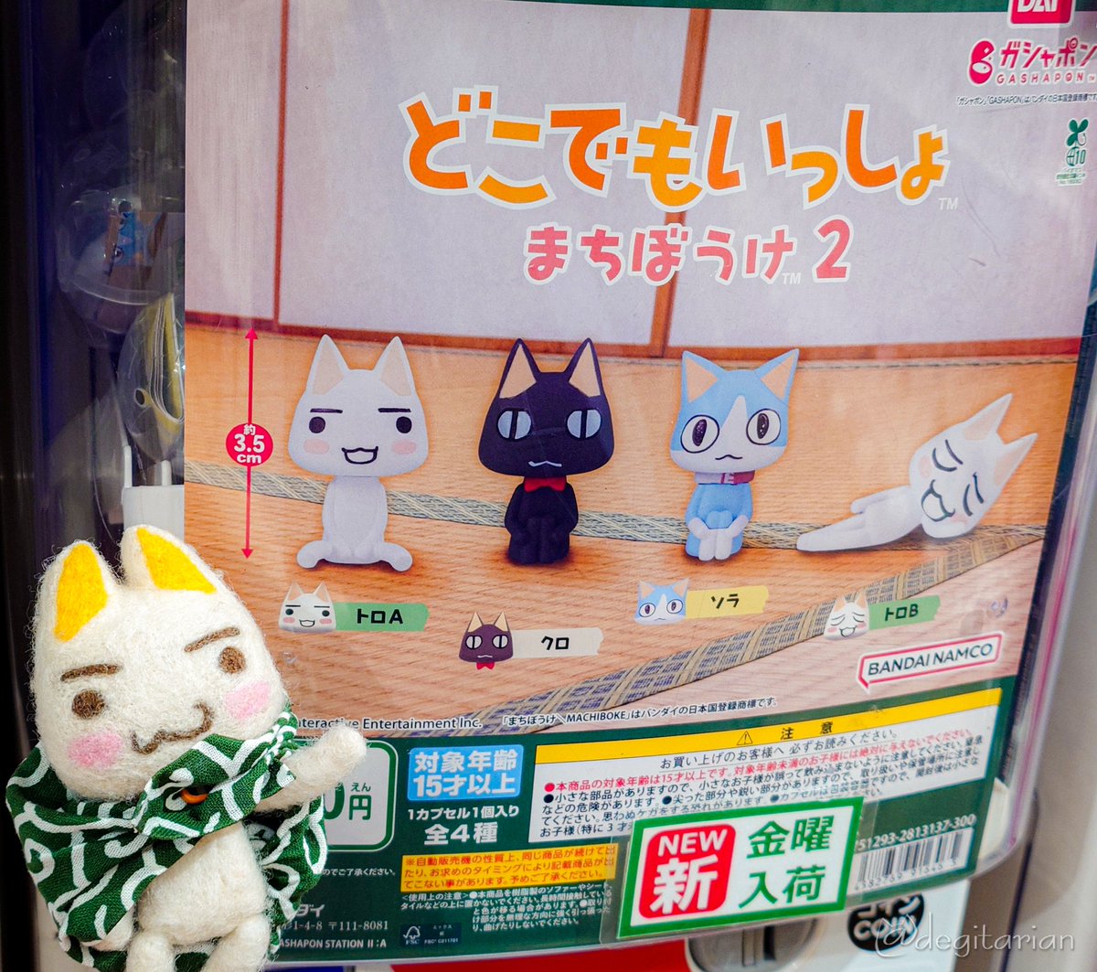 あやねこ tweet media