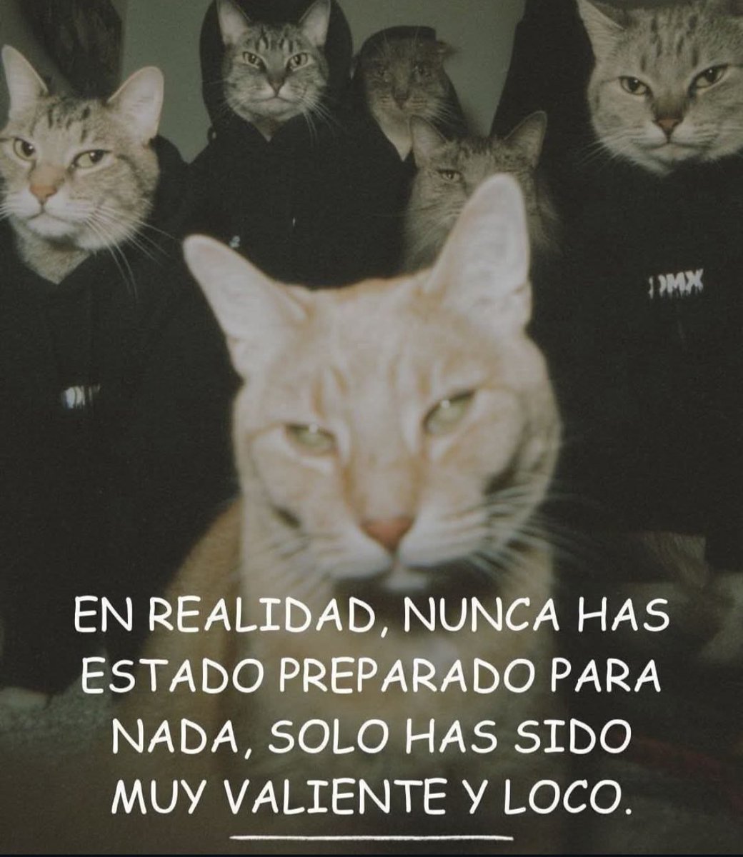 Me vale verga (@bydavidoficial) on Twitter photo 