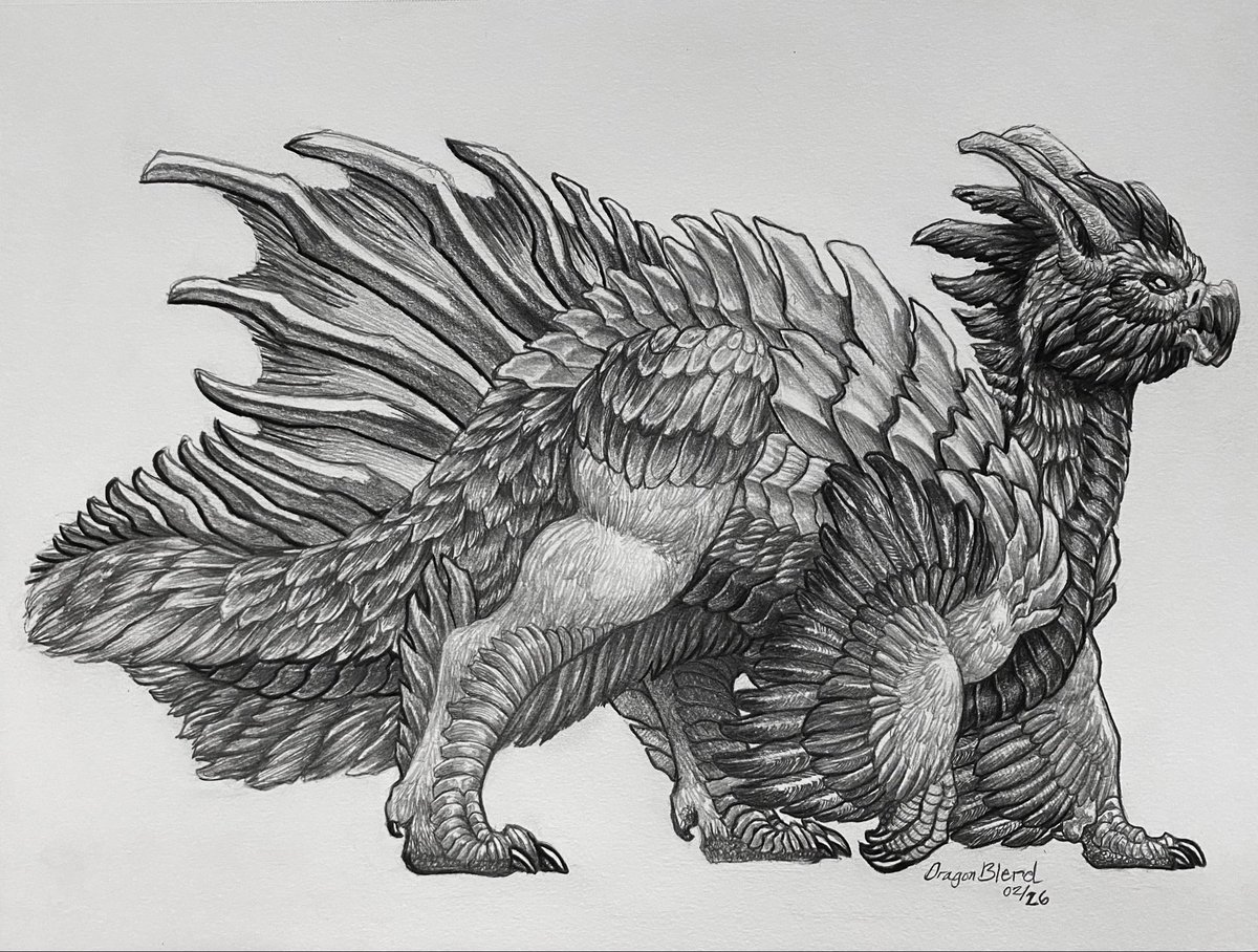 Graphite Dragon Drawing