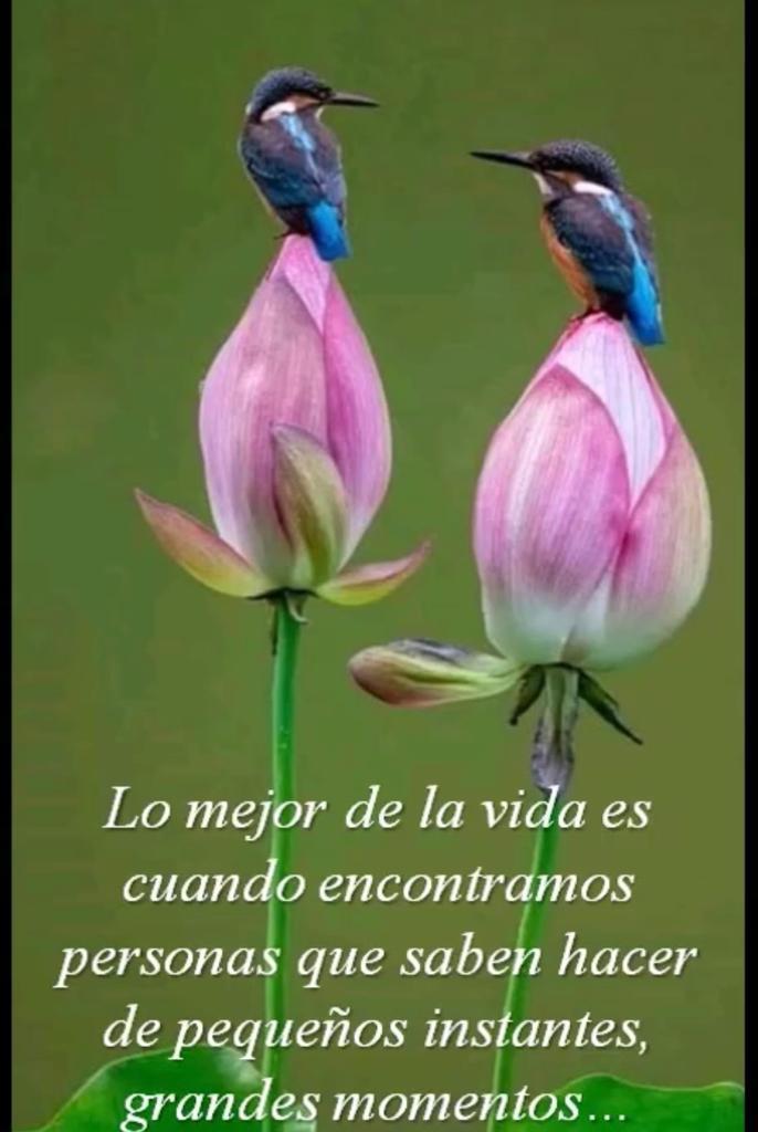 Estimada Angélica <a href="/lazablach/">Angélica🐈🇵🇸👩🏽‍🍳♒️</a>, conocidaxX, a la distancia mis mejores deseos en este Su Día, Feliz Cumpleaños