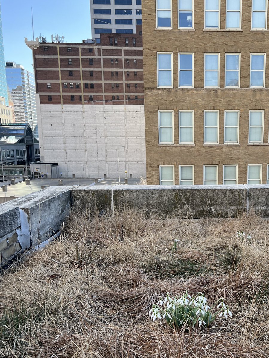 Kelly Rawlings, MPH, PWD tweet media