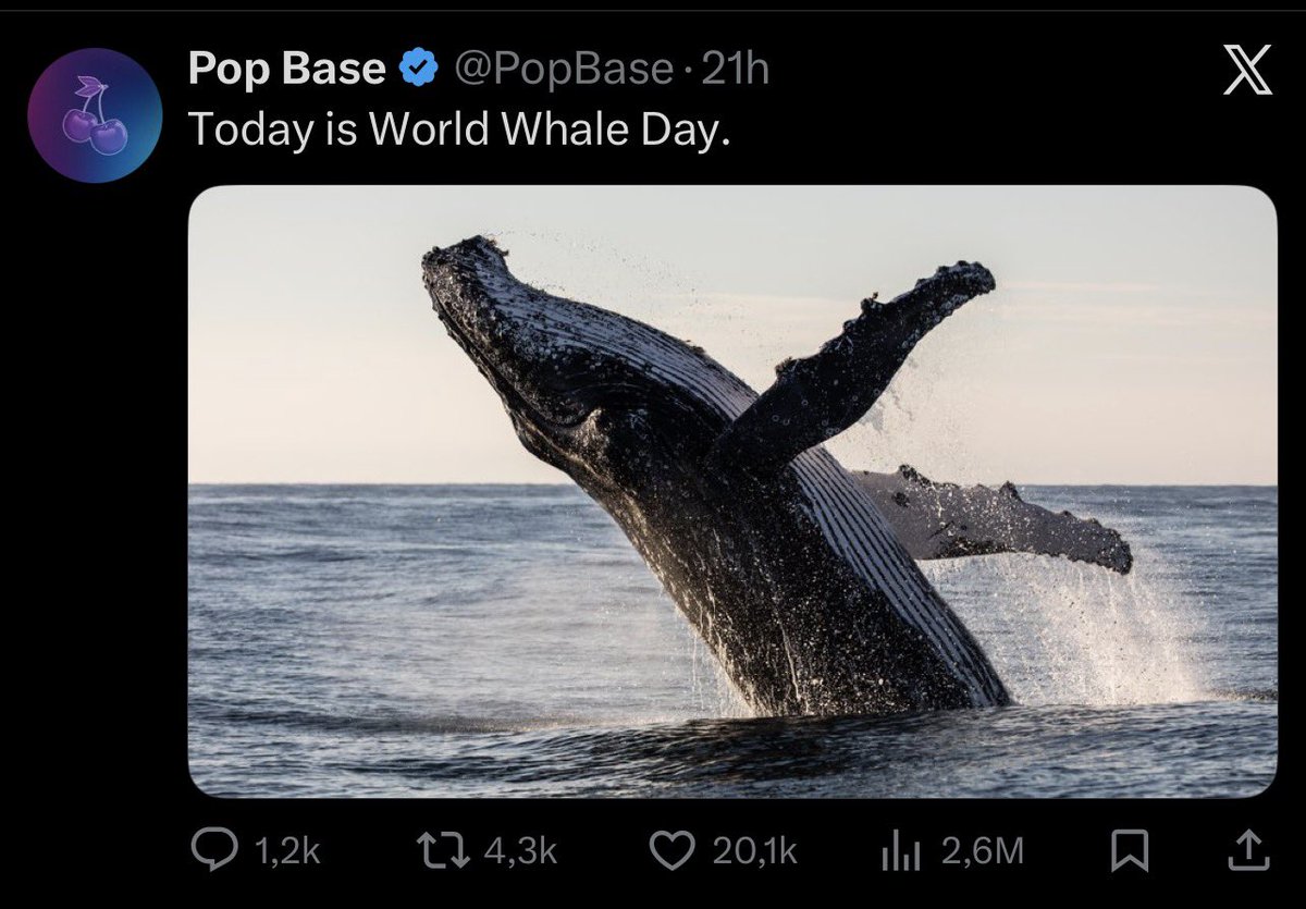 Beyoncé Update Br tweet media