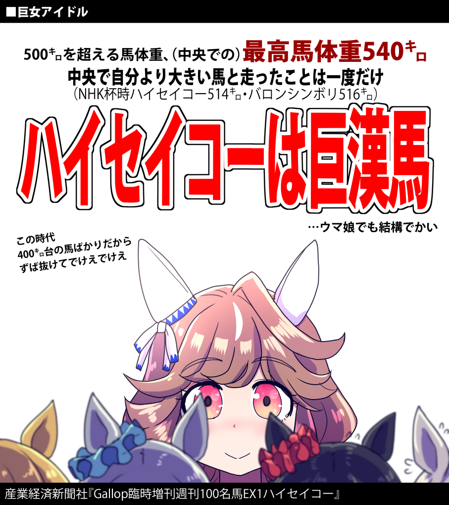 ハイセイコーは巨漢馬（再掲