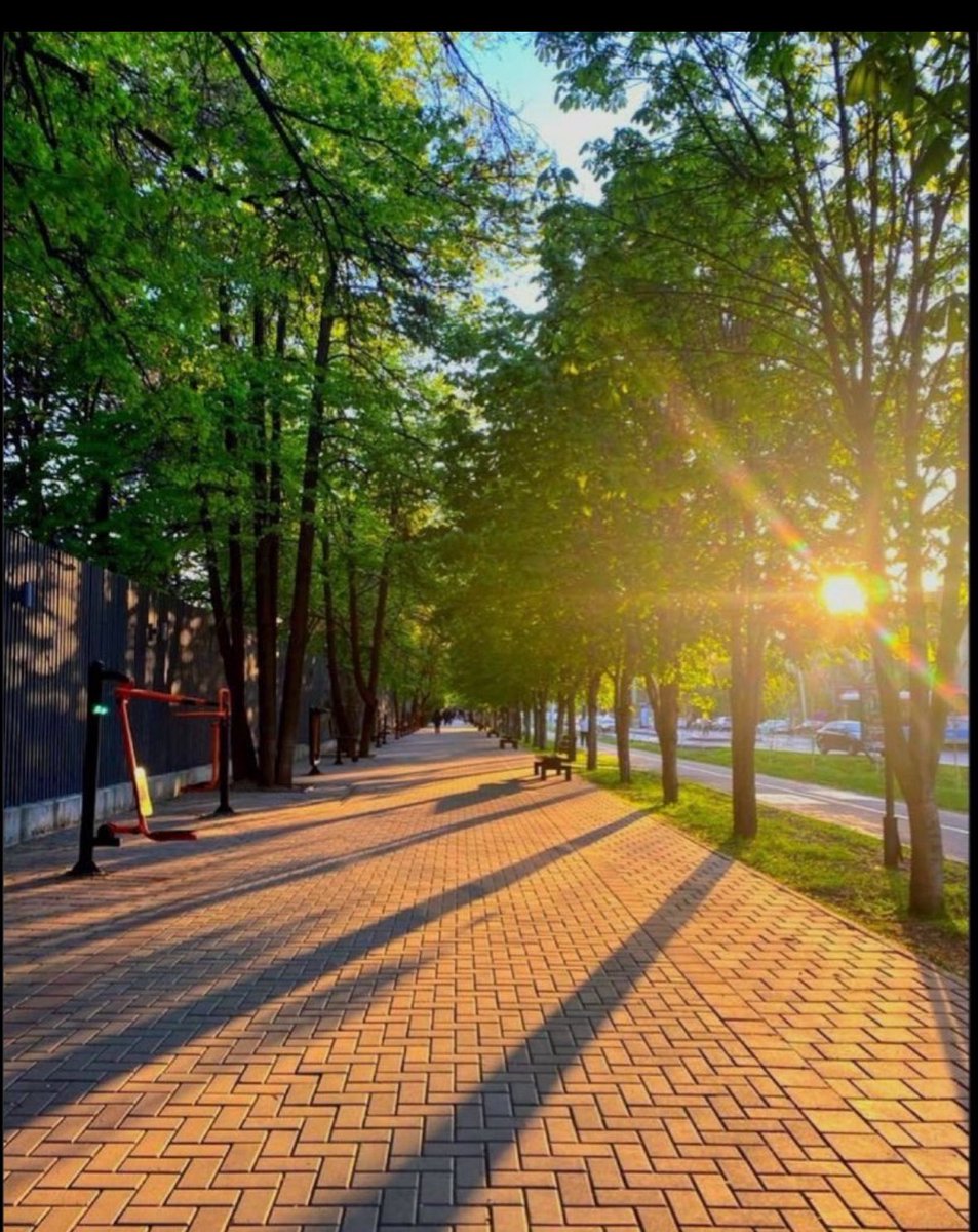 Whatever this week throws at you, don’t forget how capable you are. Rise and shine!✨☀️
Happy new week