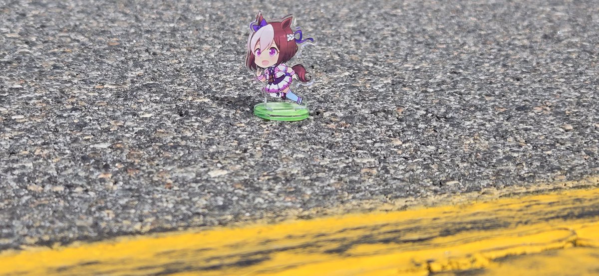 Steven Taranto tweet media