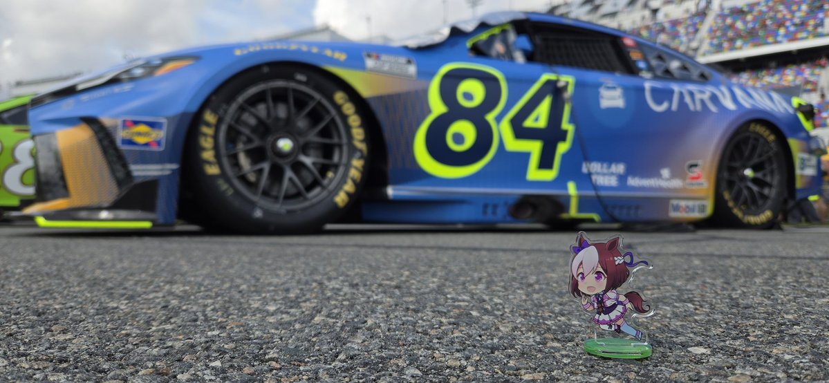 Steven Taranto tweet media