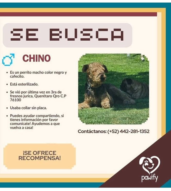 Rayas10Maria's tweet photo. Queretana 
Nos ayudas a que regrese a casa, su familia lo espera , gracias https://t.co/vM9ajLsgN6