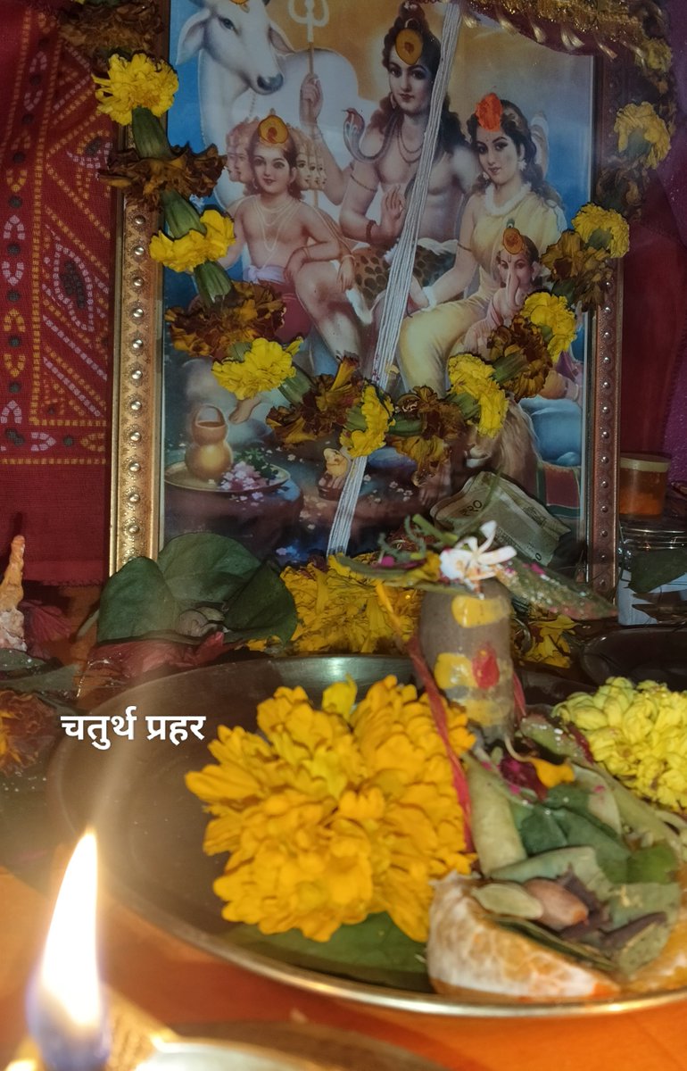 यद्यत्कर्म करोमि तत्तदखिलं शम्भो तवाराधनम् ...☘️🌸