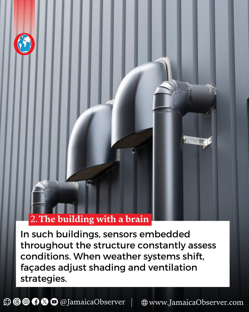 Jamaica Observer tweet media