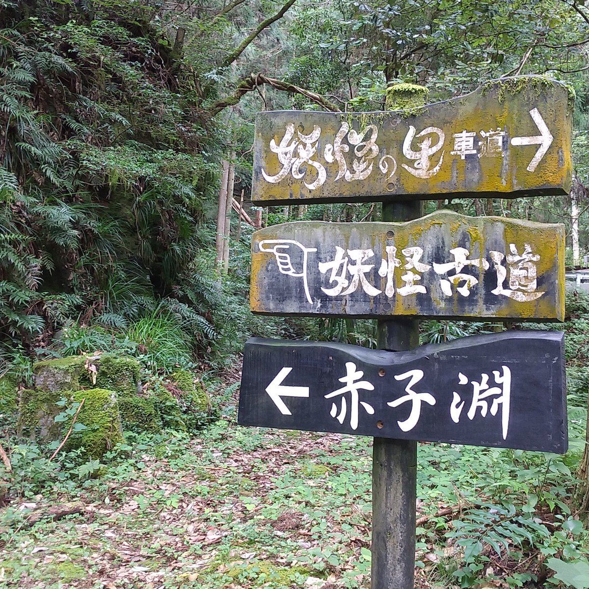 《予告》大歩危妖怪探訪
内容未定ですが
5月24日（日）10時より15時くらい
料金5千円くらい（昼食付）
道の駅大歩危～妖怪街道～エンコの棲むドロメキ淵
往復12キロくらい歩きます
地元妖怪ガイド、市川寛也群馬大学准教授、妖怪文化研究科の木下昌美さんと妖怪話しながら妖怪と出会いに来ませんか？