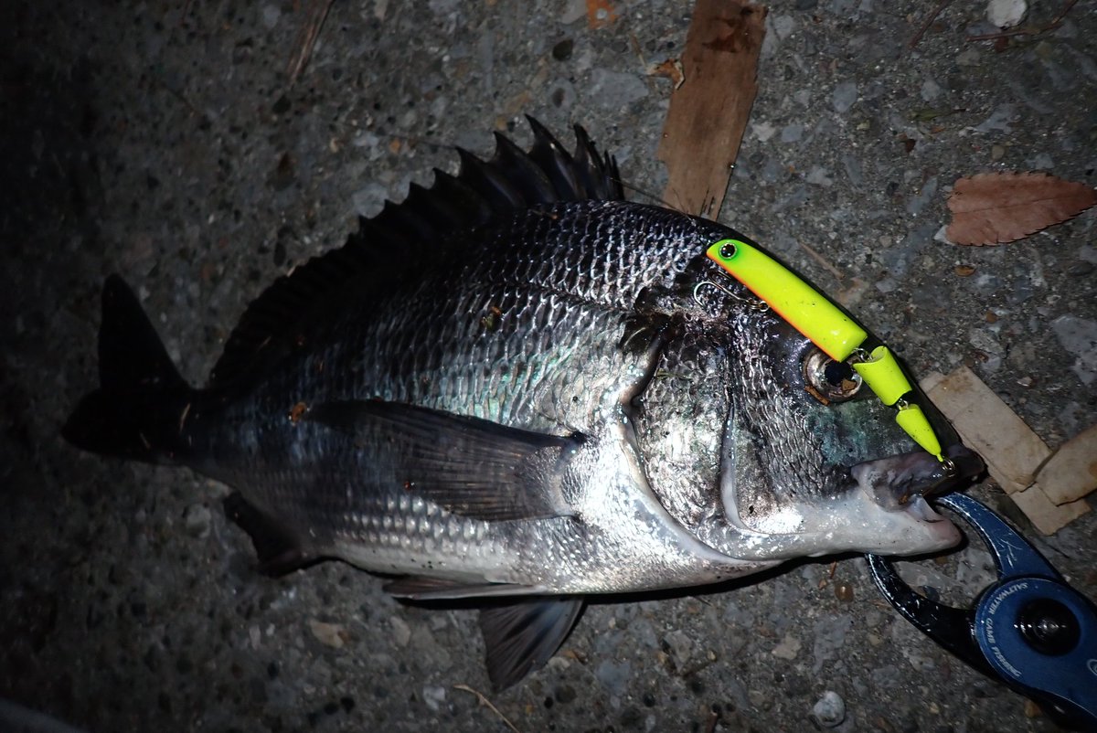 LONGIN (@longin2011) / Posts / X