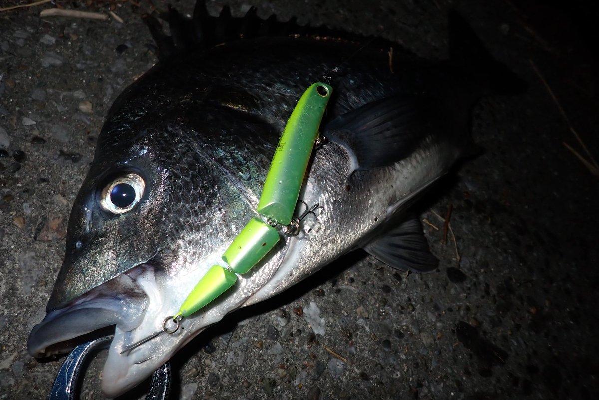 LONGIN (@longin2011) / Posts / X