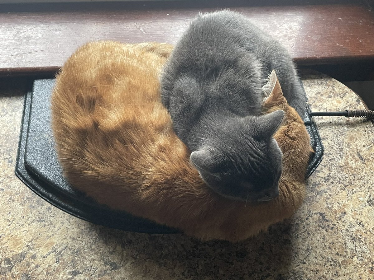 kustomkarl67 (@kustomkarl67) on Twitter photo 