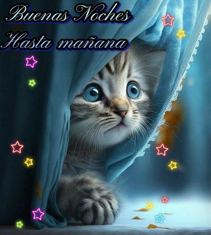 <a href="/1528_elviri/">Elv I🎗️a</a> <a href="/MariC_07070/">Mari C</a> <a href="/SiempreAzul_6/">Azul-Mc</a> <a href="/NT83631763/">N. T</a> <a href="/2815_Estherly/">EsThe👠</a> <a href="/campoy64160/">caballa 🌊💙💦</a> <a href="/SMarea_7/">S.Marea-Mc</a> <a href="/bel71294/">MabeL</a> <a href="/PetroMareaAzul/">Petro Marea Azul 🦋🦋🦋🦋</a> <a href="/arancha2458/">Arancha</a> <a href="/themis_mc/">Themis -Mc</a> <a href="/mazcobru/">Conchi AB</a> <a href="/MargotLorenzo2/">Margot Lorenzo</a> <a href="/ClotaTeresa/">Teresa Molina Clota</a> <a href="/tuneadora432/">Santa Paciencia</a> <a href="/AsomadaAlEspejo/">EspejoAzul-Mc💙</a> <a href="/Hortensia380668/">Hortensia</a> <a href="/CarmenAzulAzul/">CarmenAzul-Mc</a> <a href="/Jon4ehk/">Jon</a> <a href="/Rogelia50318250/">Rogelia</a> <a href="/VIOLETA1333814/">VIOLETA</a> <a href="/vainilla914664/">vainilla</a> <a href="/30Lealtad/">Lealtad-MC</a> <a href="/Myrtea64/">Myrtea-MC</a> <a href="/sombras_28/">Sombras-MC</a> <a href="/sonajitaplatea/">sonajita</a> <a href="/JusticiDiv/">Justicia</a> <a href="/Sombras6162/">Sombras</a> <a href="/TocaDisfrutar/">TocaDisfrutar-MC</a> <a href="/HastaCuand8/">HastaCuando</a> <a href="/Gloria26326305/">GLORIA 💙</a> <a href="/23_fuerza/">FuerzaM</a> <a href="/Amorales_6/">Inmorales</a> <a href="/1Teatreros/">Maka</a> <a href="/karma__62/">karma</a> <a href="/Sombras_25/">Sombras</a> <a href="/Encadenado_2/">Encadenados</a> <a href="/Lluvia_57/">Lluvia</a> <a href="/imperfec23/">Marija</a> <a href="/Seguimos_6/">Seguimos</a> <a href="/Imbatibles_1/">Imbatibles</a> <a href="/IntrigaMax/">Intriga (M.c)</a> <a href="/Imprev_2/">Imprev (M.c)</a> <a href="/karmen618392/">karmen (M.c)</a> <a href="/DocuFarsa/">Farsa (M.c.)</a> <a href="/Imperfect_53/">Imperfecto (M.c.)</a> <a href="/Azucena412130/">Azucena</a> <a href="/AMAPOLA88450896/">AMAPOLA</a> <a href="/Possibile_57/">Possibile (M.c)</a> <a href="/Immagine_1/">Immagine (M.c.)</a> 🌊 #YoMeRebelo16F
#YoMeRebelo17F
🔸️"𝘕𝘰 𝘦𝘴 𝘳𝘦𝘴𝘪𝘨𝘯𝘢𝘤𝘪ó𝘯, 𝘱𝘦𝘳𝘰 𝘯𝘢𝘥𝘢 𝘵𝘦 𝘩𝘢𝘤𝘦 𝘱𝘦𝘳𝘥𝘦𝘳 𝘮á𝘴 𝘦𝘯𝘦𝘳𝘨í𝘢 𝘲 𝘦𝘭 𝘳𝘦𝘴𝘪𝘴𝘵𝘪𝘳 𝘺 𝘱𝘦𝘭𝘦𝘢𝘳 𝘤𝘰𝘯𝘵𝘳𝘢 𝘶𝘯𝘢 𝘴𝘪𝘵𝘶𝘢𝘤𝘪ó𝘯 𝘲𝘶𝘦 𝘯𝘰 𝘱𝘶𝘦𝘥𝘦𝘴 𝘤𝘢𝘮𝘣𝘪𝘢𝘳." -𝑫𝒂𝒍𝒂𝒊 𝑳𝒂𝒎𝒂