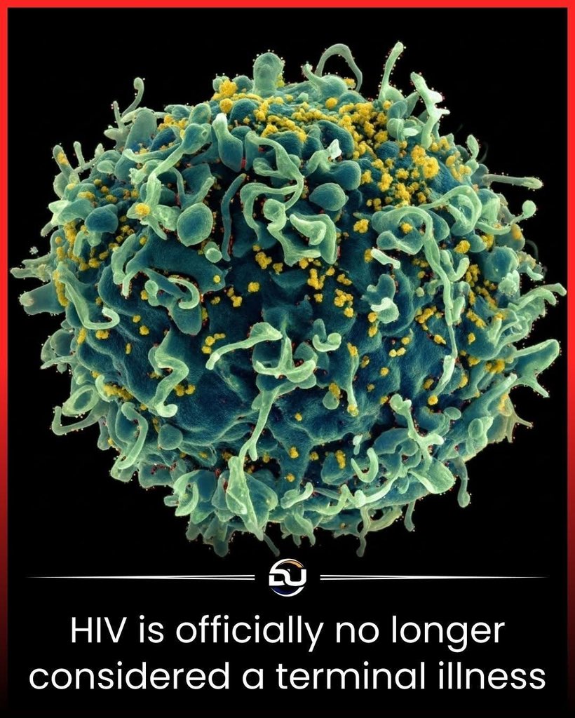 HIV is no longer a death sentence thanks to medical breakthrough

Scientists announced a historic milestone: HIV is no longer considered a terminal illness. After decades of research, medical teams have developed treatments that can suppress the virus completely, restore immune