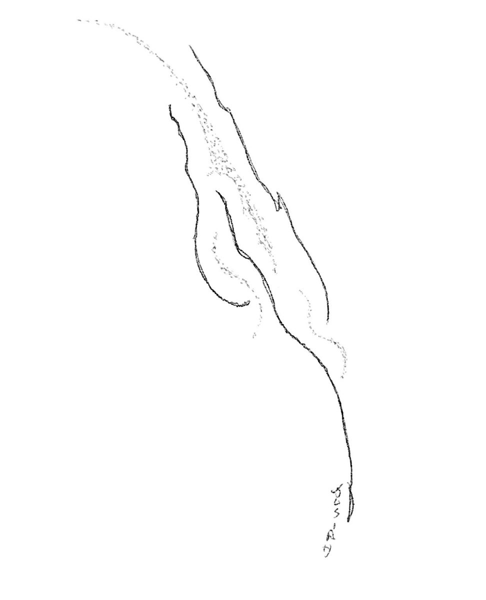 completeTheHaiga tweet media