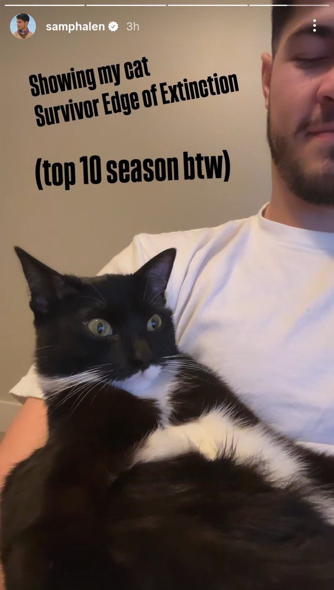 Jeffdoku tweet media