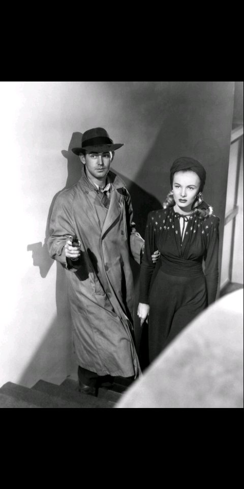 Robert Collins tweet media