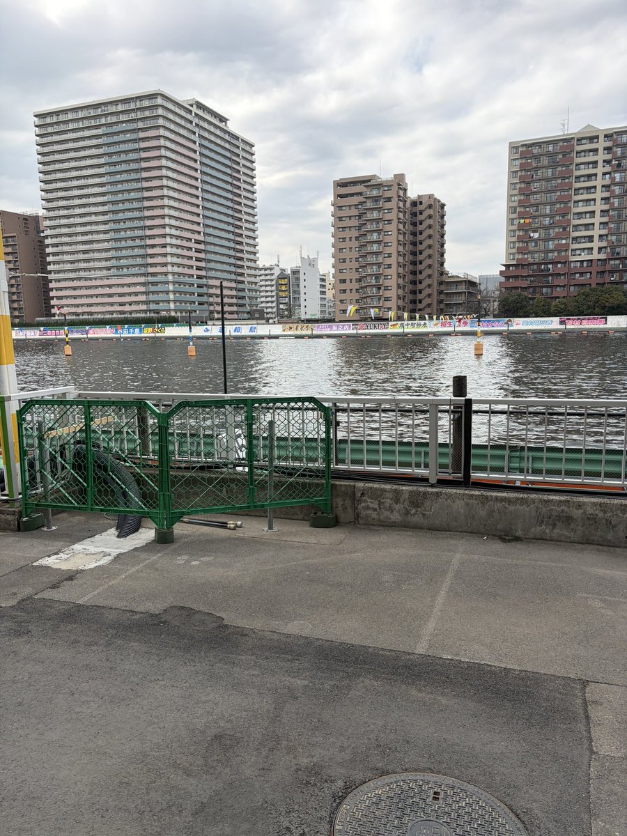 たん？🐯 tweet media