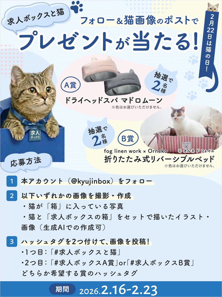 kyujinbox's tweet photo. 🐾━━━━━━━━━━━🐾
 　#求人ボックスと猫 📦🐈
　 プレゼントキャンペーン！
🐾━━━━━━━━━━━🐾

2月22日は #猫の日！
猫さんは”箱”に入るのが好き…
 ならば、求人”ボックス”も猫さんに愛されたい…！
ということで豪華プレゼントキャンペーンを実施✨

猫が箱に入った写真や、求人ボックスと猫のイラスト・画像を投稿でA賞 or B賞をゲット！
生成AIでの作成も大歓迎です🎶

皆様、ぜひどしどしご応募ください🐱💖

※応募規約・応募サンブル画像はリプライ欄をご確認ください。

#にゃんにゃんにゃんの日
#猫の日2026