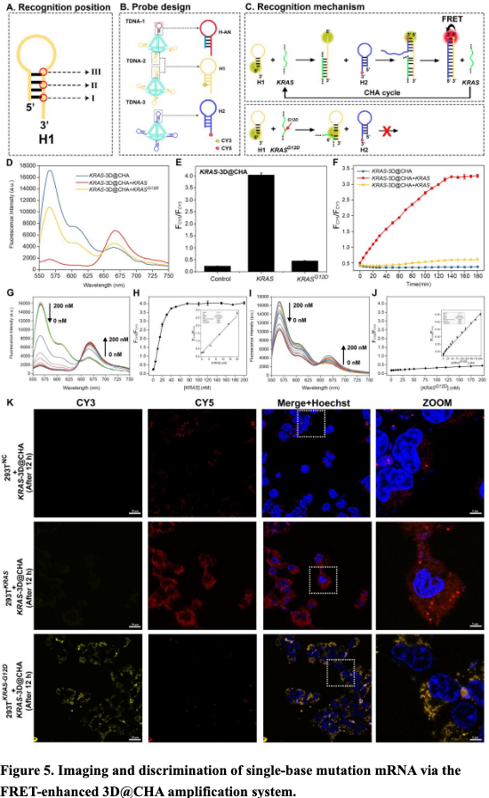Jinrong Hu tweet media