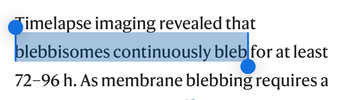 whimsy lohan tweet media